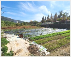  2024Ÿ��61162  ����