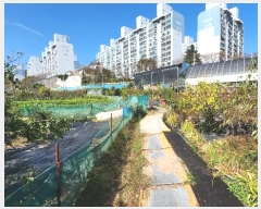  2024Ÿ��61162  ����