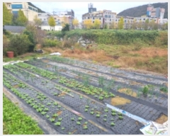  2024Ÿ��61162  ����