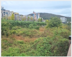  2024Ÿ��61162  ����