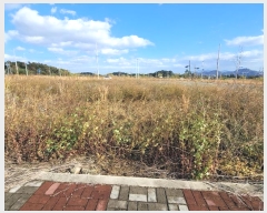  2024Ÿ61872   Ȳݵ 15-22       (Ӿ)