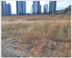  2024Ÿ61872   Ȳݵ 15-22       (Ӿ)