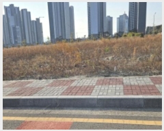  2024Ÿ61872   Ȳݵ 15-22       (Ӿ)