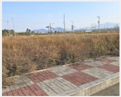  2024Ÿ61872   Ȳݵ 15-22       (Ӿ)