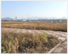  2024Ÿ61872   Ȳݵ 15-22       (Ӿ)