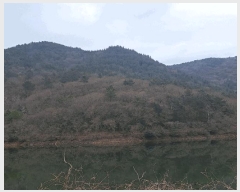  2024Ÿ63298  ﱺ θ  34      (Ӿ)