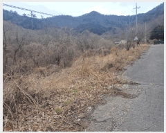  2024Ÿ63298  ﱺ θ  34      (Ӿ)