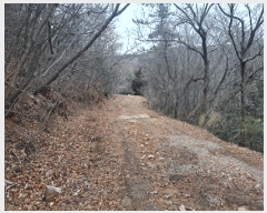  2024Ÿ63298  ﱺ θ  34      (Ӿ)