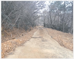  2024Ÿ63298  ﱺ θ  34      (Ӿ)