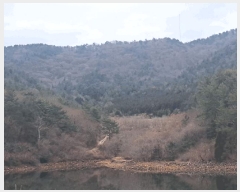  2024Ÿ63298  ﱺ θ  34      (Ӿ)