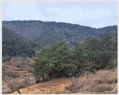  2024Ÿ63298  ﱺ θ  34      (Ӿ)