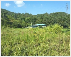  2024Ÿ��1443 ���� ������ �̷¸� ������ 828-5      ����(��1)���