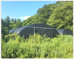  2024Ÿ��1443 ���� ������ �̷¸� ������ 828-5      ����(��1)���