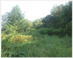  2024Ÿ��1443 ���� ������ �̷¸� ������ 828-5      ����(��1)���