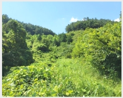  2024Ÿ��1443 ���� ������ �̷¸� ������ 828-5      ����(��1)���