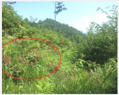  2024Ÿ��1443 ���� ������ �̷¸� ������ 828-5      ����(��1)���