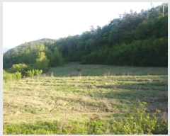  2024Ÿ��1443 ���� ������ �̷¸� ������ 828-5      ����(��1)���