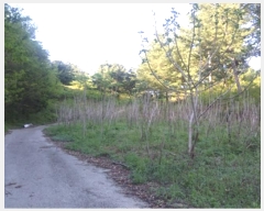  2024Ÿ��1443 ���� ������ �̷¸� ������ 828-5      ����(��1)���