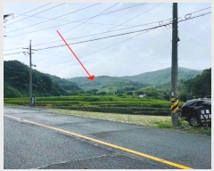  2024Ÿ��3708 ���� ��õ�� ������ ��渮 817      ����(�Ӿ�)���