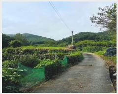  2024Ÿ��3708 ���� ��õ�� ������ ��渮 817      ����(�Ӿ�)���