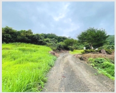  2024Ÿ��3708 ���� ��õ�� ������ ��渮 817      ����(�Ӿ�)���