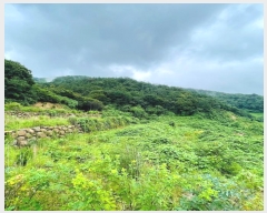  2024Ÿ��3708 ���� ��õ�� ������ ��渮 817      ����(�Ӿ�)���