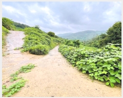  2024Ÿ��3708 ���� ��õ�� ������ ��渮 817      ����(�Ӿ�)���