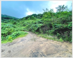  2024Ÿ��3708 ���� ��õ�� ������ ��渮 817      ����(�Ӿ�)���