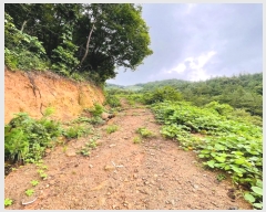  2024Ÿ��3708 ���� ��õ�� ������ ��渮 817      ����(�Ӿ�)���