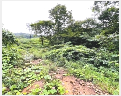  2024Ÿ��3708 ���� ��õ�� ������ ��渮 817      ����(�Ӿ�)���