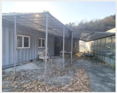  2024Ÿ��5278 ���� ���ﱺ ������ ���� 272      ����,â�����