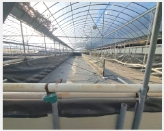  2024Ÿ��5278 ���� ���ﱺ ������ ���� 272      ����,â�����