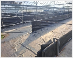  2024Ÿ��5278 ���� ���ﱺ ������ ���� 272      ����,â�����