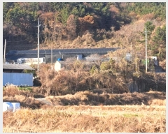  2024Ÿ��5278 ���� ���ﱺ ������ ���� 272      ����,â�����