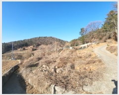  2024Ÿ5520   ȭ ָ 1204-3      (1)