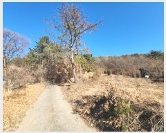  2024Ÿ5520   ȭ ָ 1204-3      (1)