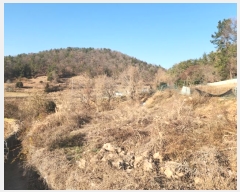  2024Ÿ5520   ȭ ָ 1204-3      (1)