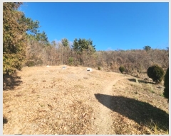  2024Ÿ5520   ȭ ָ 1204-3      (1)