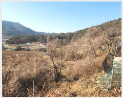  2024Ÿ5520   ȭ ָ 1204-3      (1)