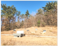  2024Ÿ5520   ȭ ָ 1204-3      (1)