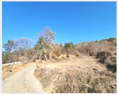  2024Ÿ5520   ȭ ָ 1204-3      (1)