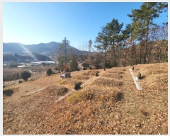  2024Ÿ5520   ȭ ָ 1204-3      (1)