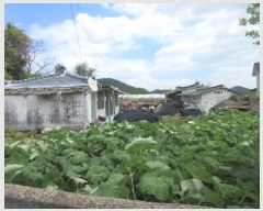  2024Ÿ��53321 ���� ���ﱺ ��ȭ�� ����� 359      ����(��1)���