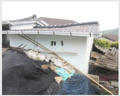  2024Ÿ��53321 ���� ���ﱺ ��ȭ�� ����� 359      ����(��1)���