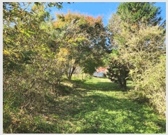  2024Ÿ61230   ġ 긮 155-14      (Ӿ)