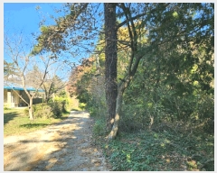  2024Ÿ61230   ġ 긮 155-14      (Ӿ)