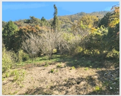  2024Ÿ61230   ġ 긮 155-14      (Ӿ)