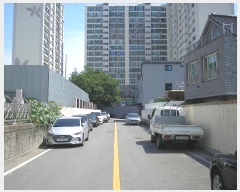  2024Ÿ��2521  �������