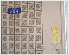  2024Ÿ3654    밭1 12, 202 2204ȣ (âƮ)   Ʈ