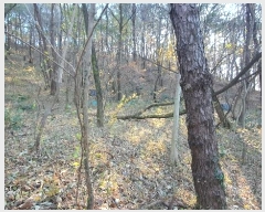  2024Ÿ��58968 ���� ��õ�� �ط�� ������ 388-1      ����(�Ӿ�)���